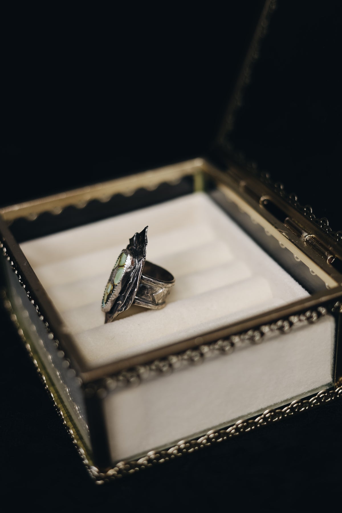 Leaves in bloom ring 🖤
