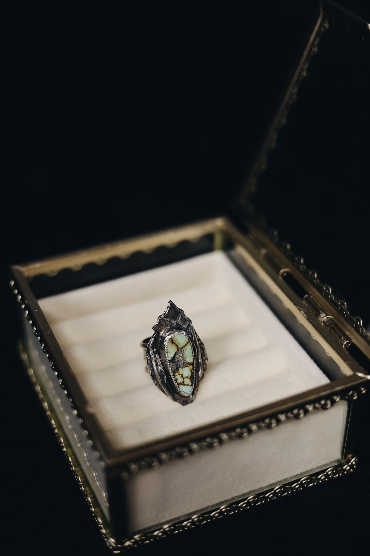 Leaves in bloom ring 🖤
